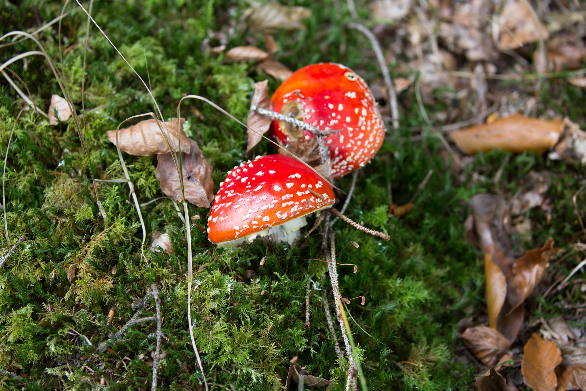 20231014100727 3K6A2198